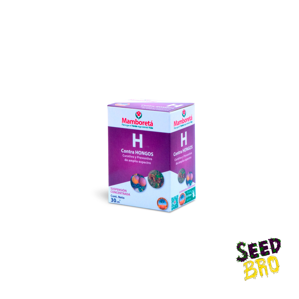 MAMBORETA H HONGOS