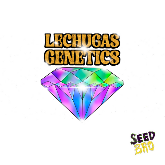 SEMILLAS LECHUGA FEMINIZADAS FOTOPERIODICAS