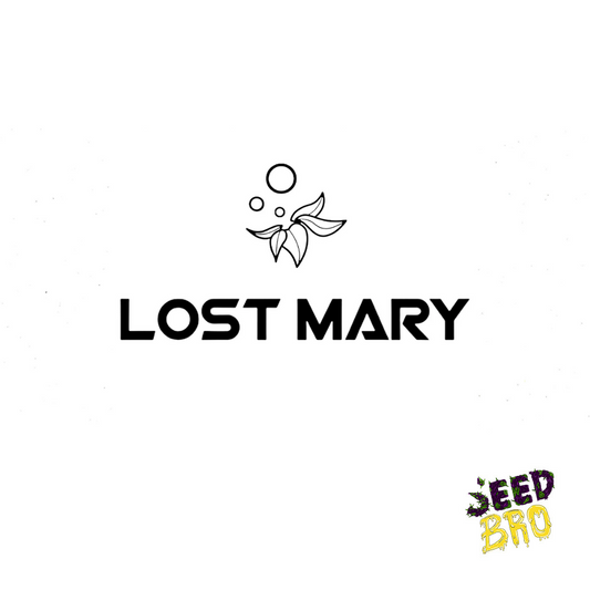 VAPE LOST MARY (CONSULTAR)